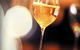 The Globe Wine Bar & Restaurant - thumb 0