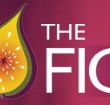 Pickled Fig - Queensland Tourism