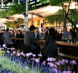 Quay Bar - QLD Tourism 0