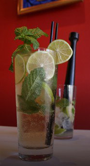 Mojos  - Queensland Tourism 1