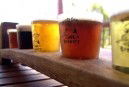 Moody Cow Brewery - Queensland Tourism 1