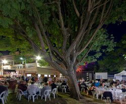 Premier Hotel - Queensland Tourism 2