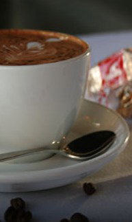 Mojos  - Queensland Tourism 2