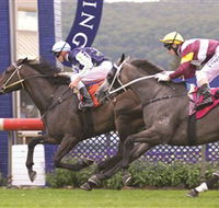 Gosford Race Club - Queensland Tourism