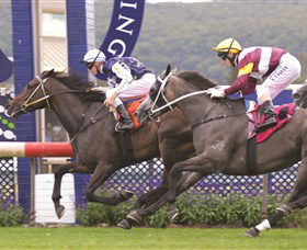 Gosford Race Club - Queensland Tourism 0