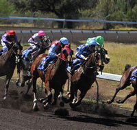 Alice Springs Turf Club - Queensland Tourism