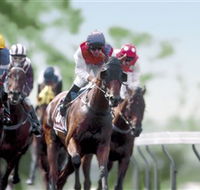 Colac Turf Club - QLD Tourism