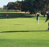 Waikerie Golf Club - QLD Tourism