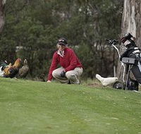 Tasmania Golf Club - The - QLD Tourism