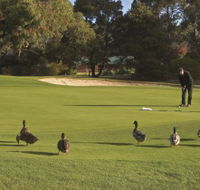 Royal Hobart Golf Club - QLD Tourism