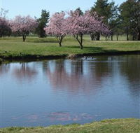 RMC Golf Club - QLD Tourism