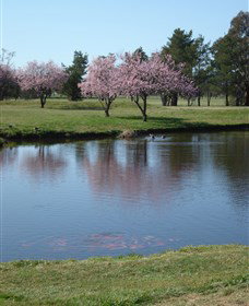 RMC Golf Club - QLD Tourism 0