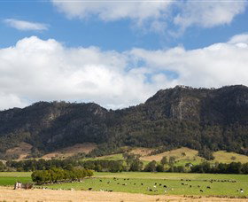 Bindera NSW QLD Tourism
