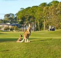 Sanctuary Cove Golf and Country Club - QLD Tourism