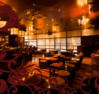 Hippo Lounge Bar - QLD Tourism