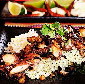 Agave Restaurante Mexicano - QLD Tourism 4