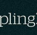 Dumpling Republic - Queensland Tourism