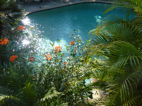 Avoca Beach Hotel - QLD Tourism 1