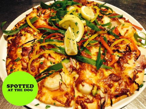 Spotted Dog Tavern - QLD Tourism 4