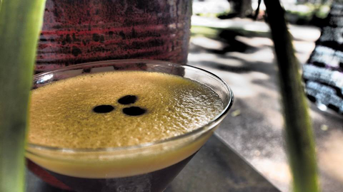 Viva La Vida Wine & Tapas Bar - QLD Tourism 2