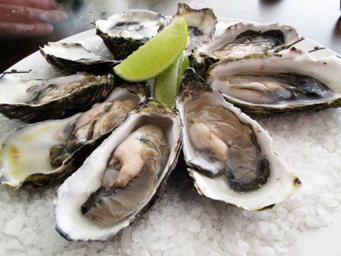AM Grill - QLD Tourism 2