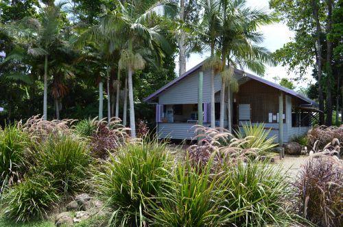 Wongaling Beach QLD QLD Tourism