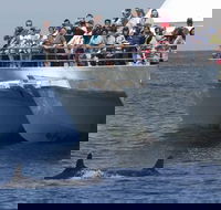 MoonshadowTQC Cruises - QLD Tourism