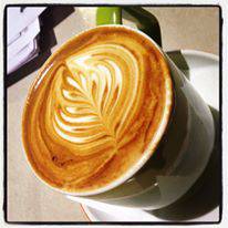 Department Of Coffee - QLD Tourism 4