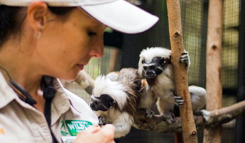 Animal Training And Conditioning - September - QLD Tourism 0