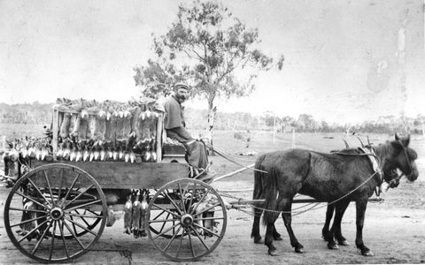 A Tale Of Two Villages - An Exhibition - QLD Tourism 1