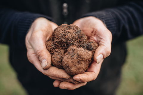 A Taste Of Truffles - QLD Tourism 0