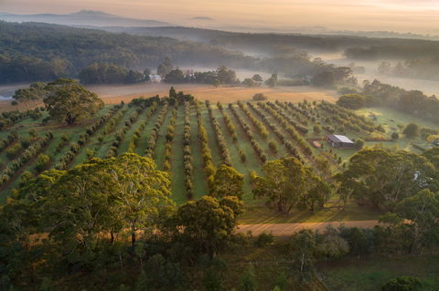 A Taste Of Truffles - QLD Tourism 1