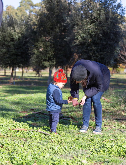 A Taste Of Truffles - QLD Tourism 2