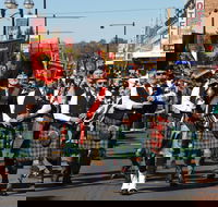 Australian Celtic Festival - QLD Tourism