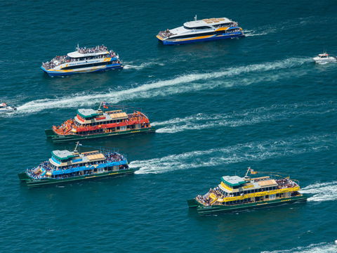 Australia Day Sydney Harbour Cruises - QLD Tourism 1