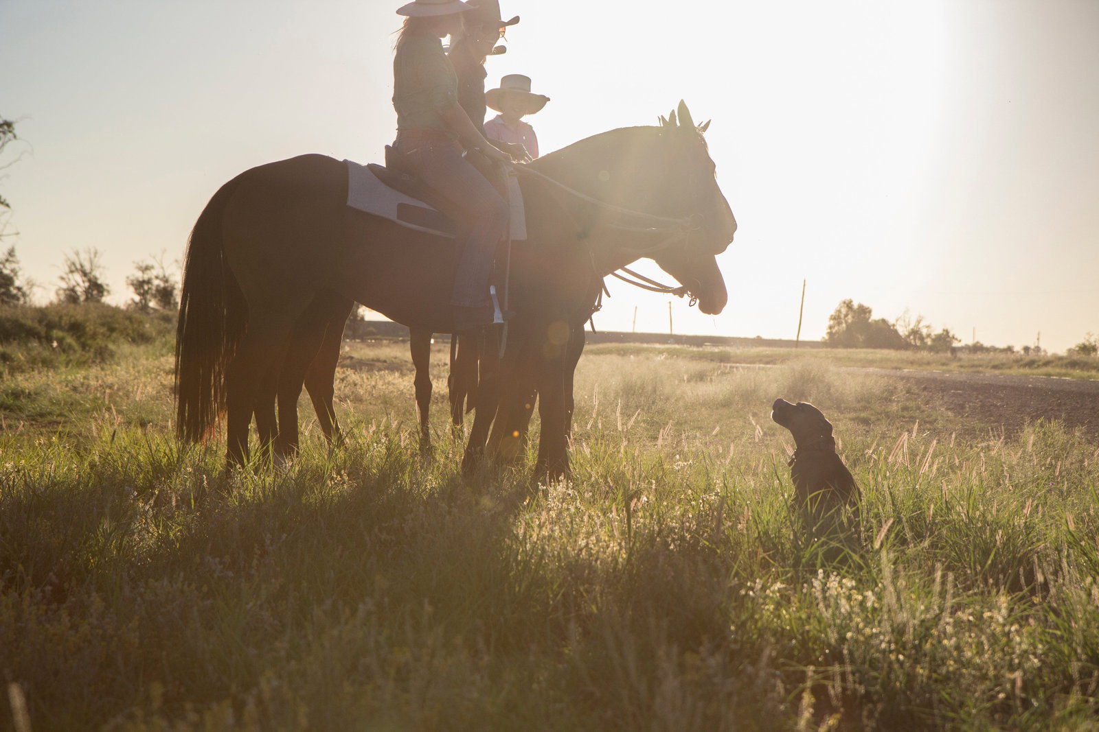 St George QLD QLD Tourism