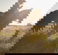 Balonne Cutting Horse Futurity - QLD Tourism