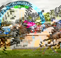 Bathurst Cup - Queensland Tourism