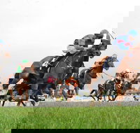 Christmas Cup Race Day - QLD Tourism