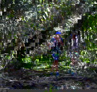 Elephant Trail Race - QLD Tourism