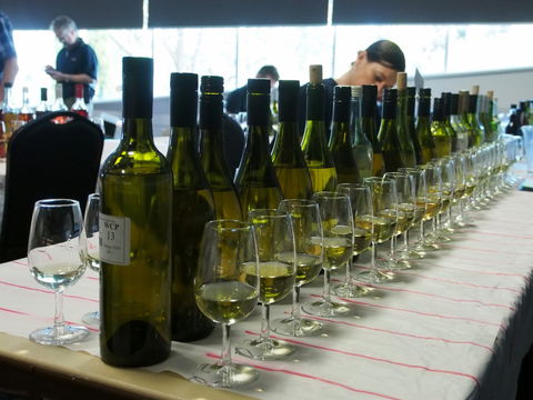 Eltham And District Wine Guild Annual Wine Show - 51st Annual Show - Queensland Tourism 1