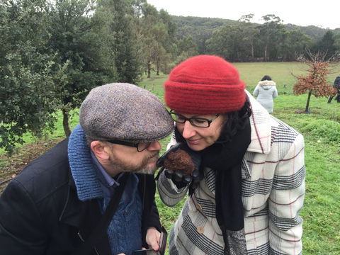 Feast And Forage - Craig's Royal Hotel - Queensland Tourism 1