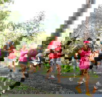 Gladstone Weekly Parkrun - Queensland Tourism