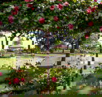 Griffith Spring Fest - QLD Tourism