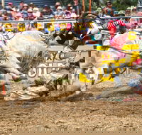 Jindabyne's Man From Snowy River Rodeo