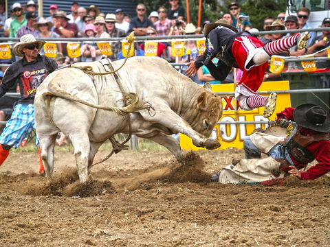 Jindabyne's Man From Snowy River Rodeo - Queensland Tourism 0