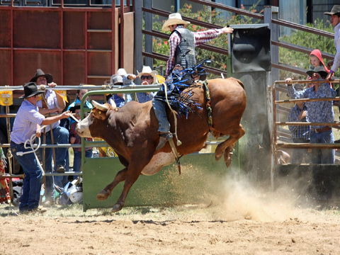 Jindabyne's Man From Snowy River Rodeo - Queensland Tourism 2