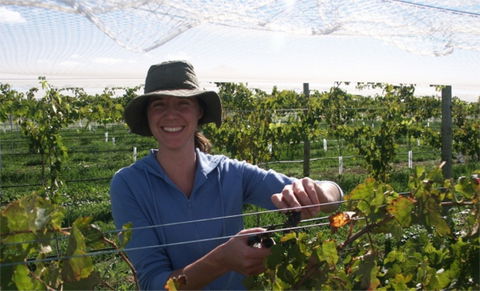 Kingsdale Wines - Cellar Door Wine Tastings - QLD Tourism 0
