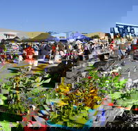 Maclean Community Monthly Markets - QLD Tourism