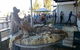 Narrabri Show - thumb 0